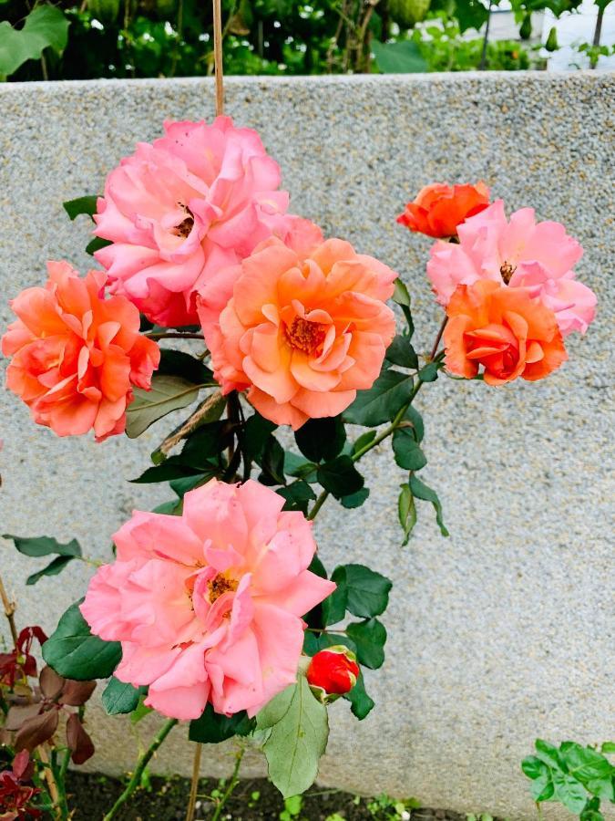 Jifun Flower Meanings Ji'an Eksteriør bilde